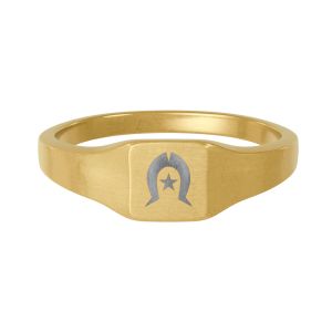 Gold Stainless Steel Square Signet Ring — Engraved Horseshoe & Star