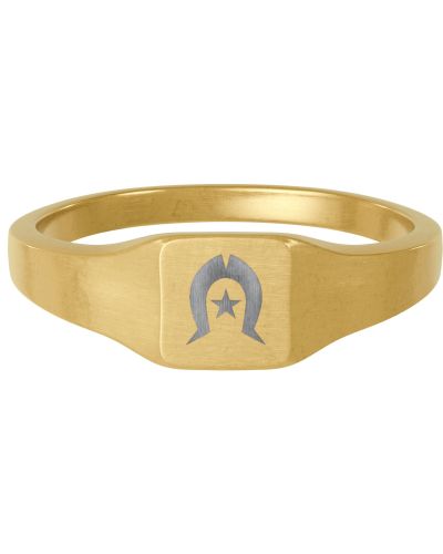 Gold Stainless Steel Square Signet Ring — Engraved Horseshoe & Star
