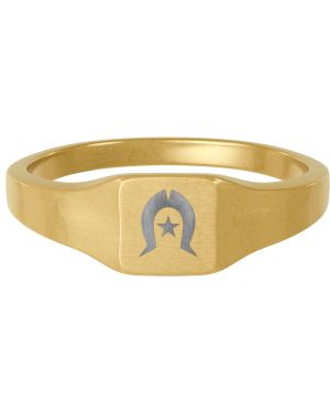 Gold Stainless Steel Square Signet Ring — Engraved Horseshoe & Star